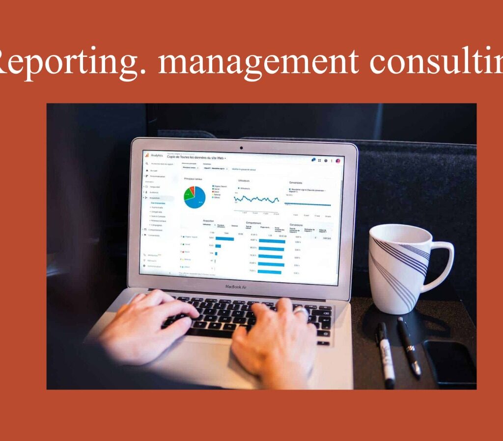 Reporting management consulting
