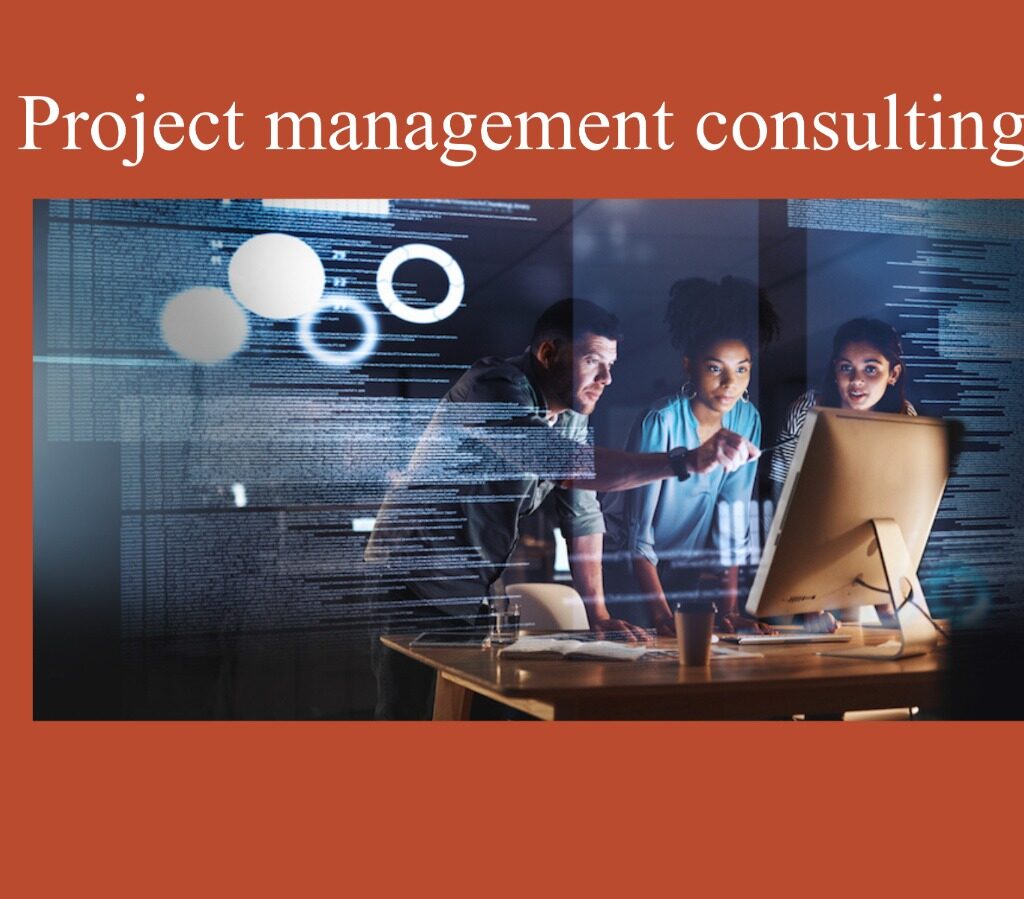 Project management consulting