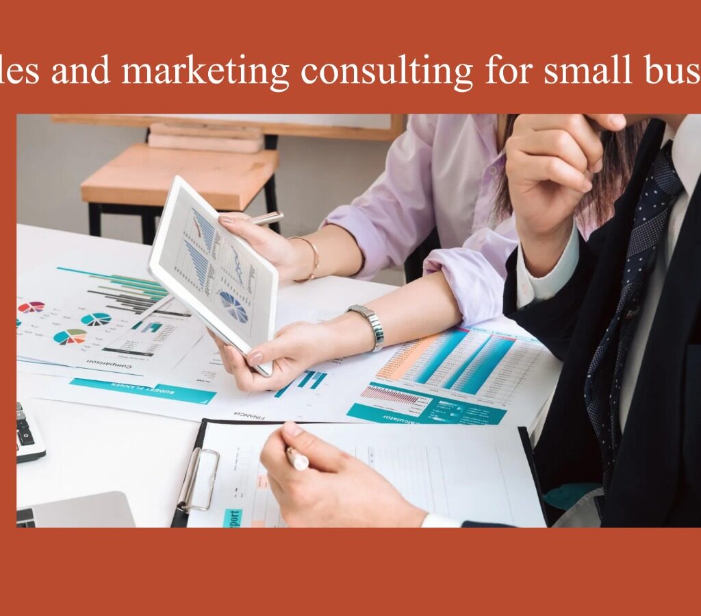 Sales and marketing consulting for small business